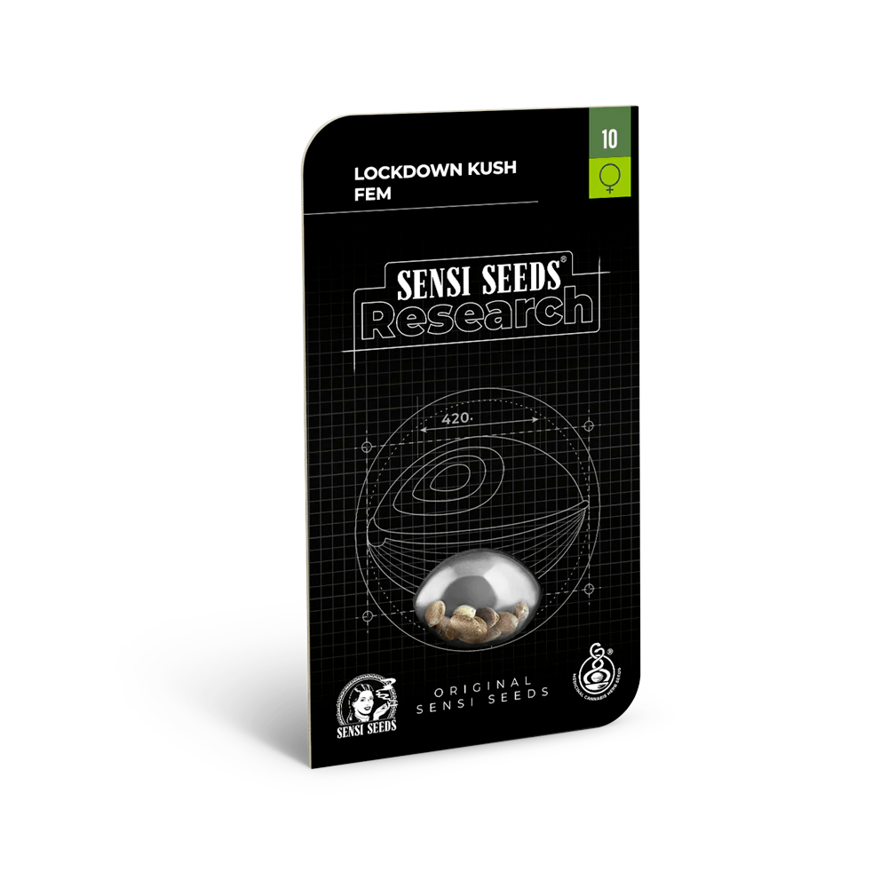 Sensi Seeds Lockdown Kush