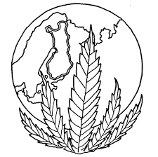 Himalajan viikinki